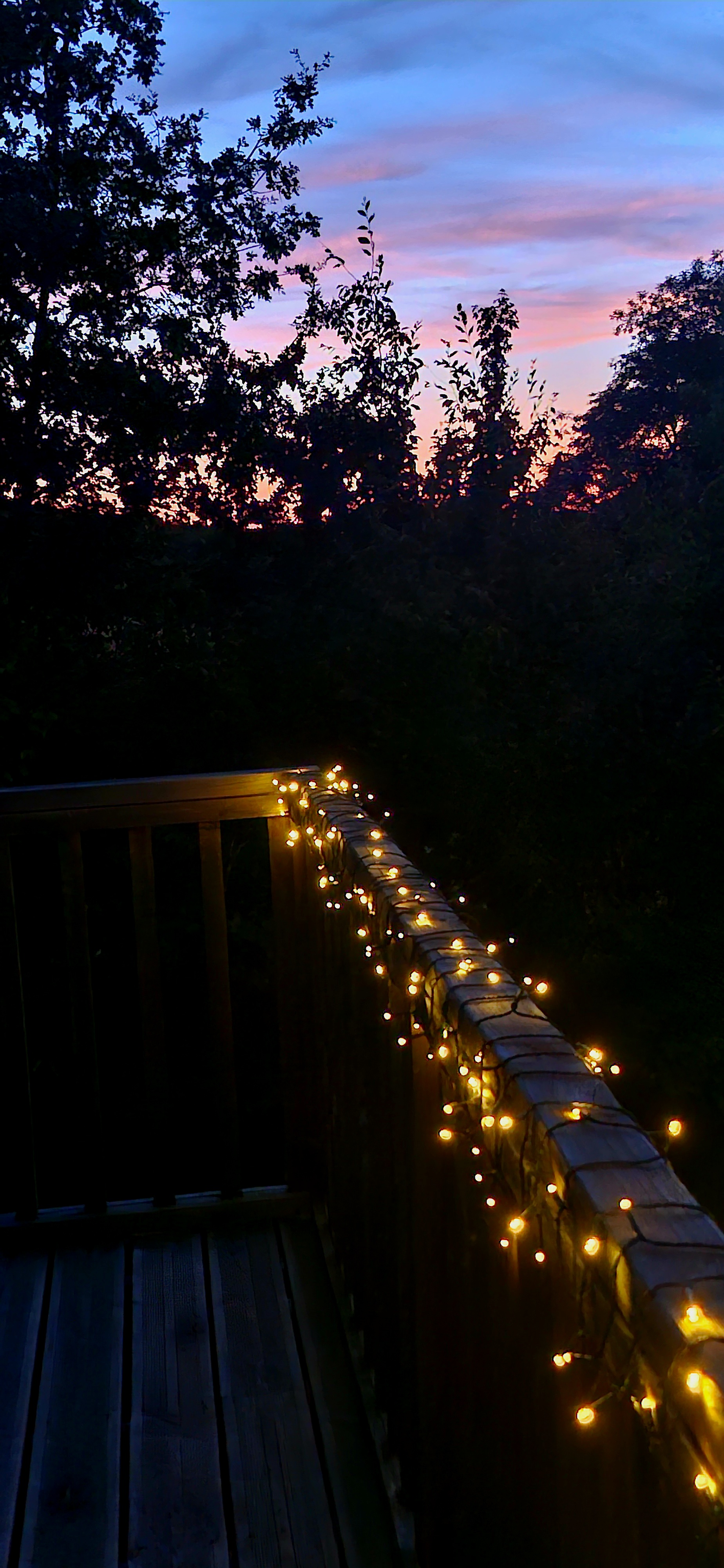 48 garden